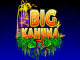 Азартная игра Big Kahuna